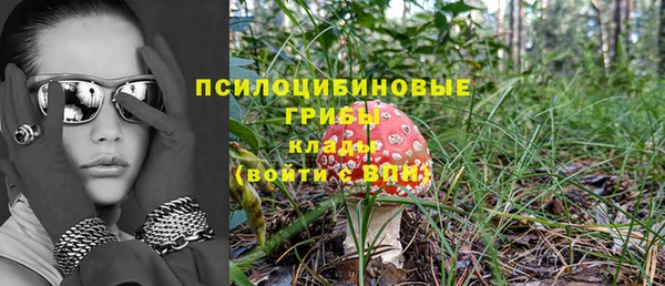 герыч Инта