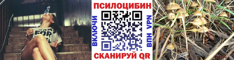 Купить закладки  Дудинка  Псилоцибиновые грибы мицелий 